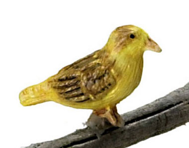 Dollhouse Miniature Norwich Fancy Canary